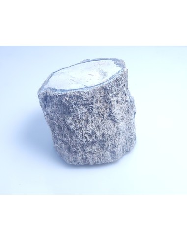 Bois fossile 350 g - Encens.fr | Minéraux