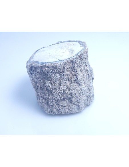 Bois fossile 350 g - Encens.fr | Minéraux