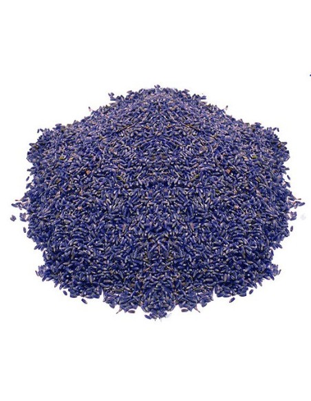 Lavande Séchée Alpes de Haute Provence – 50g 500g 1kg