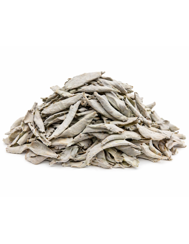 Sauge Blanche en Feuilles – Purification Naturelle 50g, 100g ou 250g
