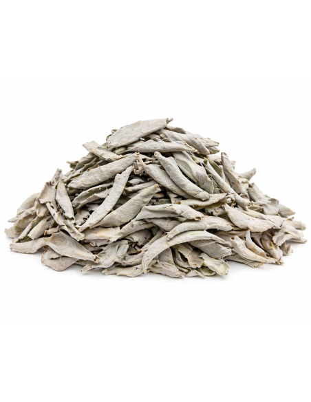 Sauge Blanche en Feuilles – Purification Naturelle 50g, 100g ou 250g