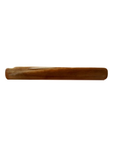 Tranche de bois silicifié